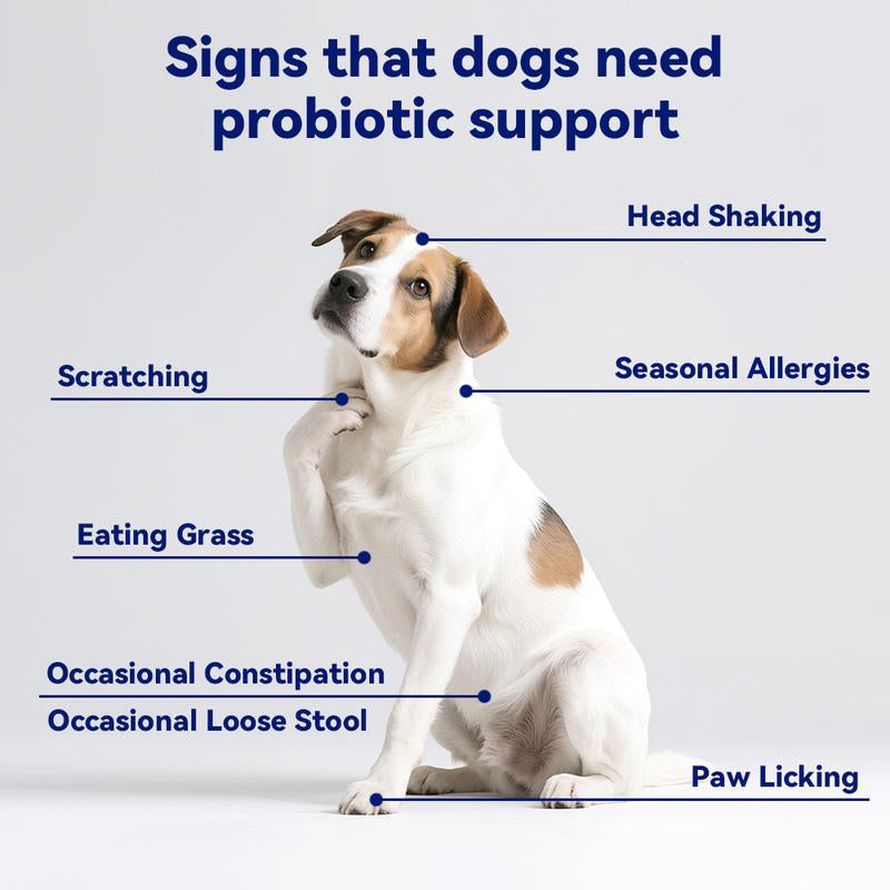 Delicious Natural Pork Flavor Probiotics Chews for Happy, Healthy Dogs!