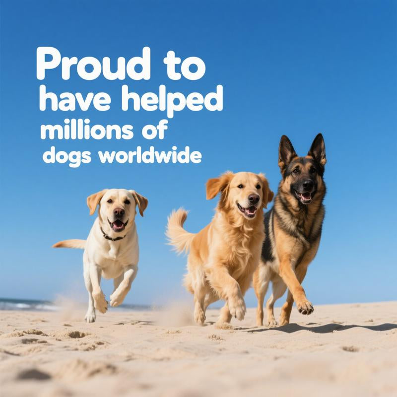 Delicious Natural Pork Flavor Probiotics Chews for Happy, Healthy Dogs!