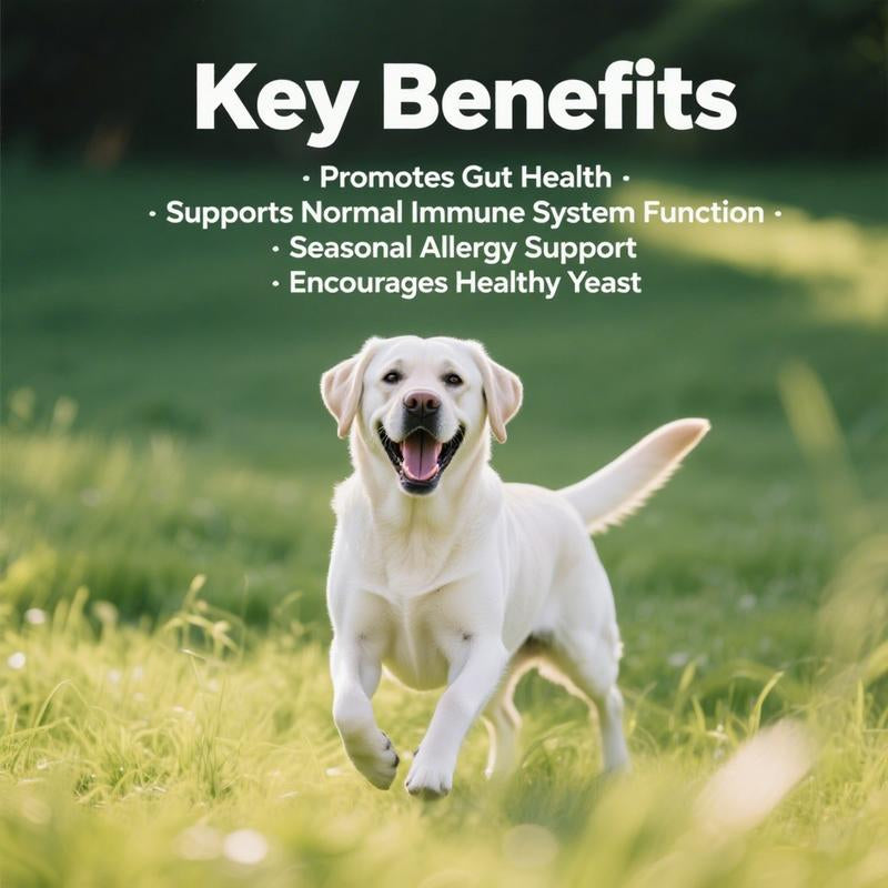 Delicious Natural Pork Flavor Probiotics Chews for Happy, Healthy Dogs!