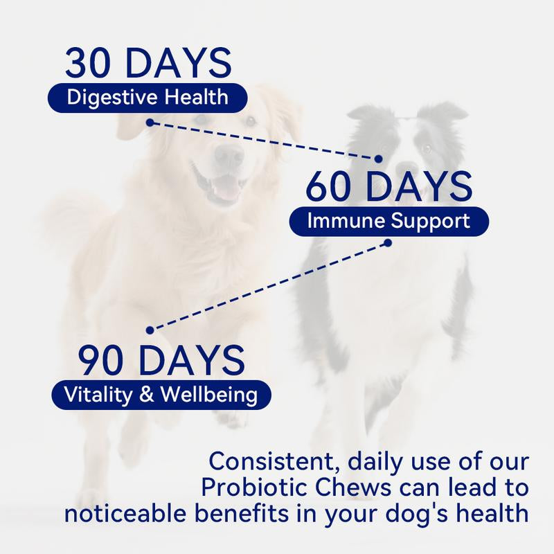 Delicious Natural Pork Flavor Probiotics Chews for Happy, Healthy Dogs!