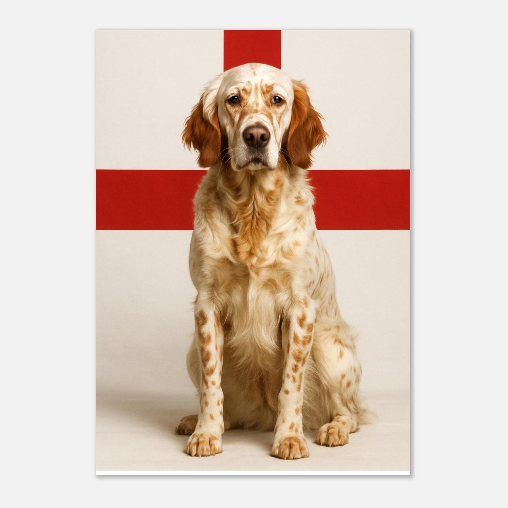 b47934ac-d01b-453a-831f-b6c9ea1801bb